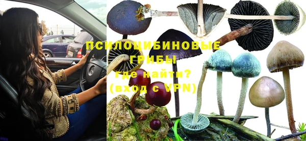 марки nbome Каменногорск