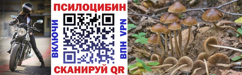 OMG как зайти  Смоленск  Галлюциногенные грибы Cubensis 
